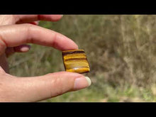 Charger et lire la vidéo dans la visionneuse de la Galerie, Oeil de tigre 82