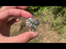 Charger et lire la vidéo dans la visionneuse de la Galerie, VENDU Abalone 49