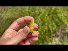 Charger et lire la vidéo dans la visionneuse de la Galerie, Jaspe Océan 6