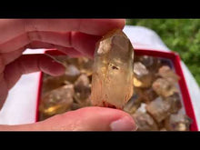 Charger et lire la vidéo dans la visionneuse de la Galerie, Citrine brut 71