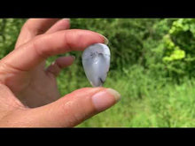 Charger et lire la vidéo dans la visionneuse de la Galerie, Agate dendritique 63