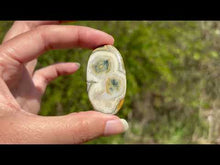 Charger et lire la vidéo dans la visionneuse de la Galerie, Jaspe Océan 3