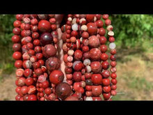 Charger et lire la vidéo dans la visionneuse de la Galerie, Perles en jaspe rouge entre 4 et 12mm JRU