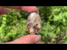 Charger et lire la vidéo dans la visionneuse de la Galerie, Jaspe à turritelles 26