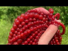 Charger et lire la vidéo dans la visionneuse de la Galerie, Perles en cornaline / agate rouge entre 4 et 14mm CAD