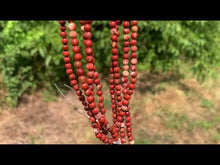 Charger et lire la vidéo dans la visionneuse de la Galerie, Perles en jaspe rouge entre 4 et 12mm JRU