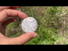 Charger et lire la vidéo dans la visionneuse de la Galerie, Agate Fleurie 16