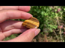 Charger et lire la vidéo dans la visionneuse de la Galerie, Oeil de tigre 40