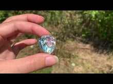 Charger et lire la vidéo dans la visionneuse de la Galerie, VENDU Abalone 36