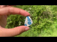 Charger et lire la vidéo dans la visionneuse de la Galerie, Jaspe K2 23