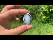 Charger et lire la vidéo dans la visionneuse de la Galerie, VENDU Agate dendritique 55