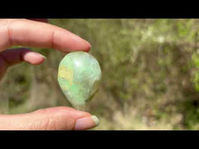 Charger et lire la vidéo dans la visionneuse de la Galerie, Garniérite 31