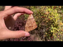 Charger et lire la vidéo dans la visionneuse de la Galerie, Calcite 12