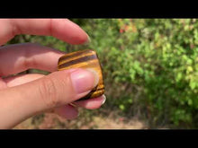 Charger et lire la vidéo dans la visionneuse de la Galerie, Oeil de tigre 52