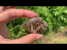 Charger et lire la vidéo dans la visionneuse de la Galerie, Agate sagénitique 38