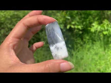 Charger et lire la vidéo dans la visionneuse de la Galerie, VENDU Agate dendritique 68