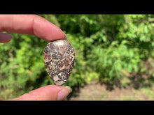 Charger et lire la vidéo dans la visionneuse de la Galerie, Jaspe à turritelles 22