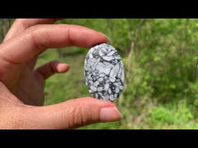 Charger et lire la vidéo dans la visionneuse de la Galerie, Pinolite 13