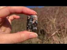 Charger et lire la vidéo dans la visionneuse de la Galerie, Vulcanite 10