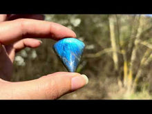 Charger et lire la vidéo dans la visionneuse de la Galerie, Labradorite 333