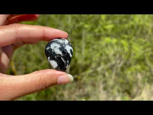 Charger et lire la vidéo dans la visionneuse de la Galerie, Jaspe Zebré 7