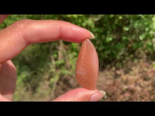 Charger et lire la vidéo dans la visionneuse de la Galerie, Pierre de lune 123