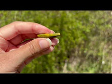 Charger et lire la vidéo dans la visionneuse de la Galerie, Jaspe Océan 18