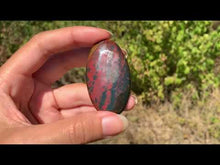 Charger et lire la vidéo dans la visionneuse de la Galerie, Jaspe héliotrope 8
