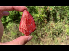 Charger et lire la vidéo dans la visionneuse de la Galerie, Jaspe peau de serpent 13