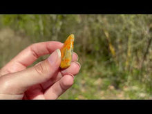 Charger et lire la vidéo dans la visionneuse de la Galerie, VENDU Jaspe Bumblebee 28