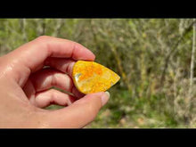 Charger et lire la vidéo dans la visionneuse de la Galerie, Jaspe Bumblebee 21