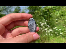 Charger et lire la vidéo dans la visionneuse de la Galerie, Larvikite 37