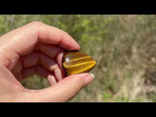 Charger et lire la vidéo dans la visionneuse de la Galerie, Oeil de tigre 76