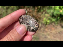 Charger et lire la vidéo dans la visionneuse de la Galerie, Jaspe à turritelles 19