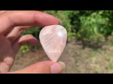 Charger et lire la vidéo dans la visionneuse de la Galerie, Scolécite 37