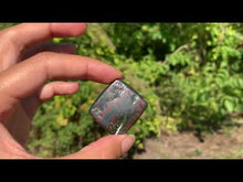 Charger et lire la vidéo dans la visionneuse de la Galerie, Jaspe héliotrope 22