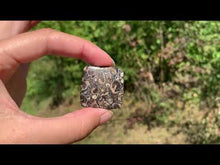 Charger et lire la vidéo dans la visionneuse de la Galerie, Jaspe à turritelles 17