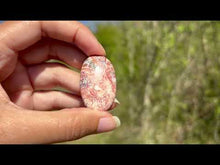 Charger et lire la vidéo dans la visionneuse de la Galerie, Jaspe Léopard 7