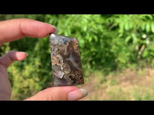 Charger et lire la vidéo dans la visionneuse de la Galerie, Agate sagénitique 24