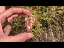 Charger et lire la vidéo dans la visionneuse de la Galerie, Calcite 14