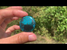 Charger et lire la vidéo dans la visionneuse de la Galerie, Chrysocolle 16