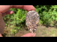 Charger et lire la vidéo dans la visionneuse de la Galerie, Jaspe à turritelles 18