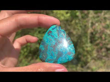 Charger et lire la vidéo dans la visionneuse de la Galerie, Chrysocolle 5