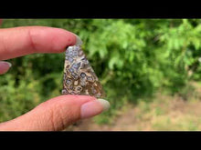 Charger et lire la vidéo dans la visionneuse de la Galerie, Agate sagénitique 40