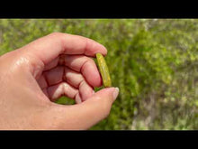 Charger et lire la vidéo dans la visionneuse de la Galerie, Jaspe Océan 7