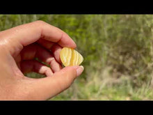 Charger et lire la vidéo dans la visionneuse de la Galerie, Calcite jaune 9