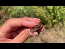 Charger et lire la vidéo dans la visionneuse de la Galerie, VENDU Bronzite 33