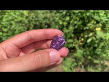 Charger et lire la vidéo dans la visionneuse de la Galerie, Kammererite 24