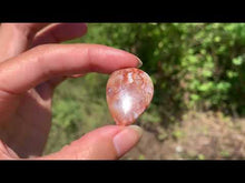 Charger et lire la vidéo dans la visionneuse de la Galerie, Agate Crazy Lace 17