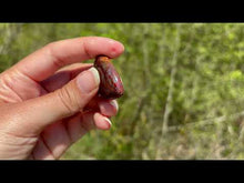 Charger et lire la vidéo dans la visionneuse de la Galerie, Agate mousse 25